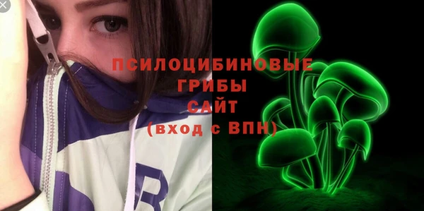 гашик Алзамай