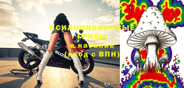 гашик Алзамай